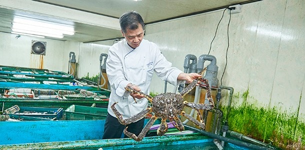 螃蟹屋水產